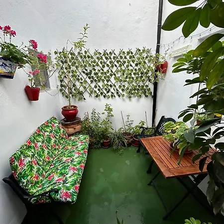 Cozy Town House With Terrace And Free Wifi Holiday home