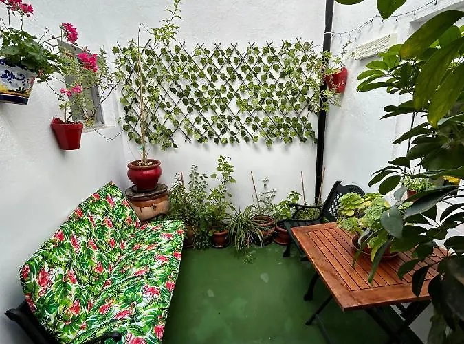 Cozy Town House With Terrace And Free Wifi 度假居